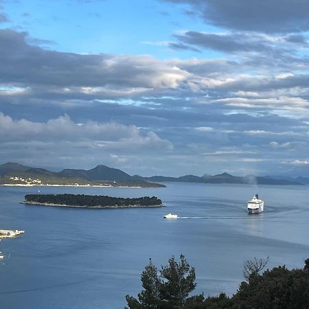 View Dubrovnik Apartman Kültér fotó